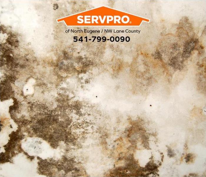 Mold and water stains are visible on a ceiling.