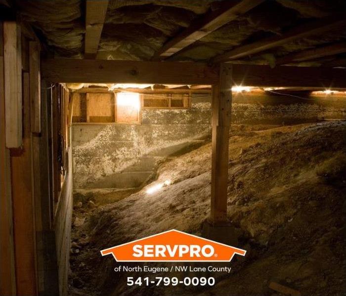 A crawl space shows visible signs of water damage.